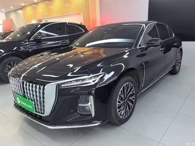 2024 Hongqi H5 2.0T Automatic Smart Connect Flag Smooth Edition, фото 2, лот 10289930