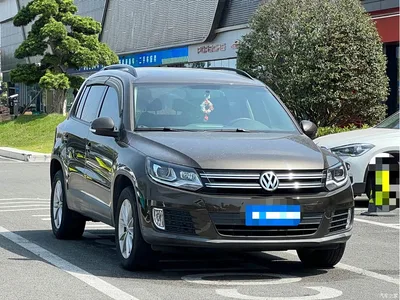 2016 Volkswagen Tiguan 280TSI Automatic 2WD Silk Road Fashion Edition, фото 3, лот 11137003