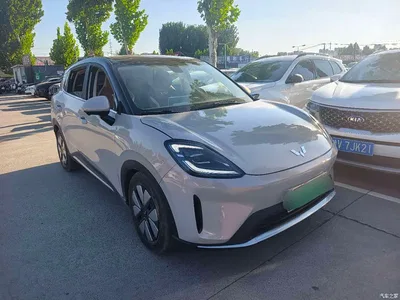 2025 Wuling Motors Wuling Bingo S Model 325km Premium Edition, фото 3, лот 10836443
