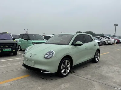 2023 Ora Good Cat 401km Standard Range Luxury LFP, фото 1, лот 11523807