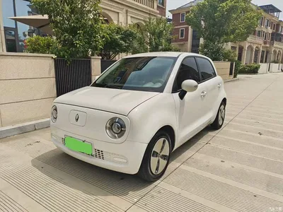 2021 Ora Black Cat 301km Pet Edition, фото 1, лот 10330516