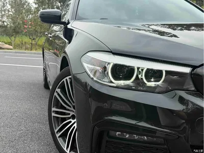 2019 BMW 5 Series 530Li Leading M Sport Package, фото 4, лот 11139262
