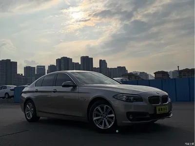 2014 BMW 5 Series (Import) 520i Classic, фото 3, лот 10448947