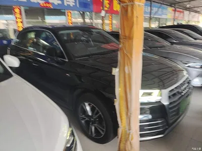 2020 Audi Q5L Facelift 40 TFSI Honor Fashion, фото 4, лот 10456418