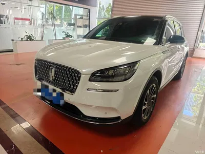 2020 Lincoln Adventurer 2.0T 2WD Premium Elegance Edition, фото 1, лот 11564696