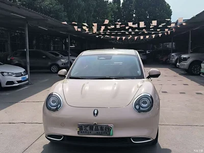 2023 Ora Good Cat 401km Standard Range Honor Edition (LFP), фото 2, лот 10330852