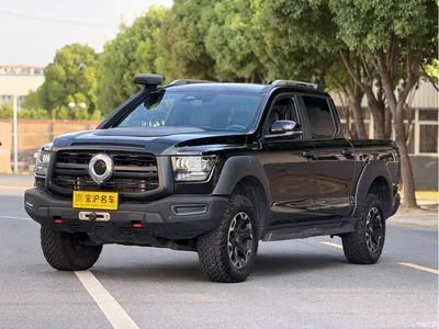 2023 Great Wall Shanhai Cannon 3.0T V6 Gasoline Performance Edition, фото 1, лот 11172315