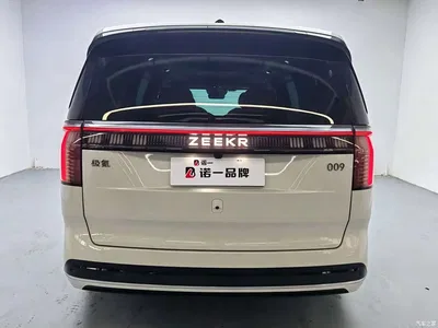 2022 ZEEKR 009 WE Edition, фото 4, лот 10291333