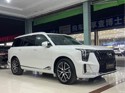 2022 GAC Trumpchi Trumpchi GS8 Dual Engine Series 2.0TM 4WD Premium Edition (6-Seater), фото 3, лот 10419515