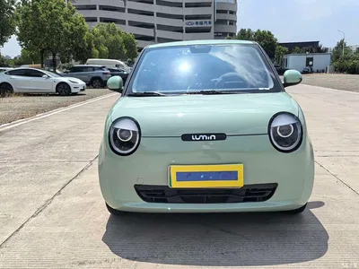 2023 Changan Qiyuan Changan Lumin Model 205km Fragrant Edition, фото 4, лот 10407833