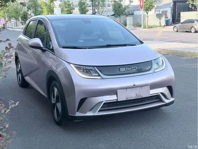 2024 BYD Dolphin Glory Edition 420km Fashion Edition, фото 3, лот 10253640