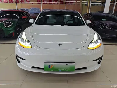 2021 Tesla Model 3 Standard Range Rear-Wheel Drive Upgrade, фото 3, лот 10369144