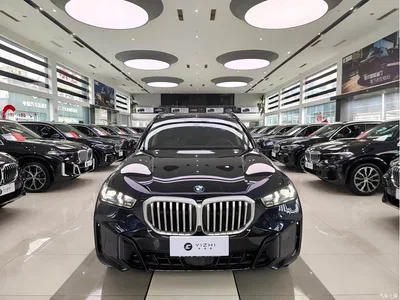 2023 BMW X5 xDrive 30Li Premium M Sport Black Night Package, фото 2, лот 11221919