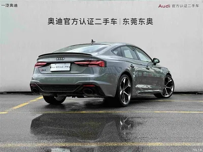 2024 Audi RS 5 2.9T Sportback Ignition Edition, фото 4, лот 10235036