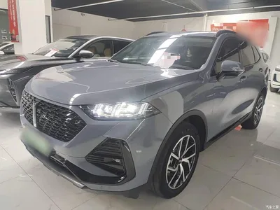 2022 WEY Latte DHT-PHEV 1.5T 2WD Extra Large Cup, фото 1, лот 10957897