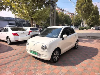 2021 Ora Black Cat 351km Standard Model, фото 1, лот 10332215