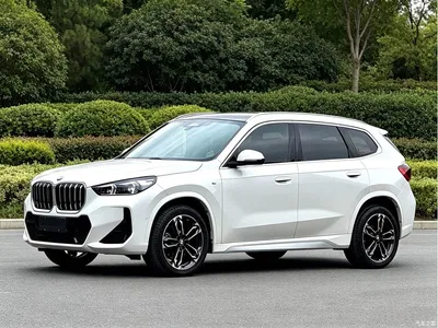 2024 BMW X1 sDrive25Li M Sport Package, фото 1, лот 10237378