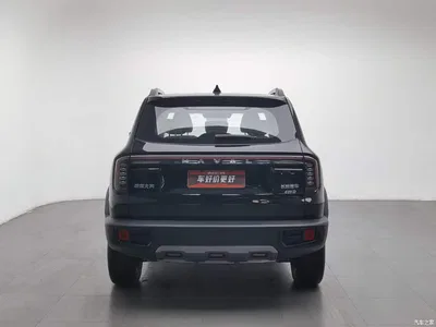 2024 Haval Big Dog 2.0T DCT Chinese Rural Dog Edition, фото 4, лот 11203822