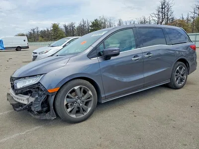 2024 HONDA ODYSSEY ELITE, фото 1, лот 10681518