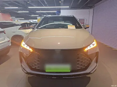 2025 BYD Tang New Energy Smart Driving Edition DM-i 115KM Flagship, фото 3, лот 10272543
