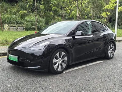 2022 Tesla Model Y Rear-Wheel Drive Version, фото 1, лот 11546913