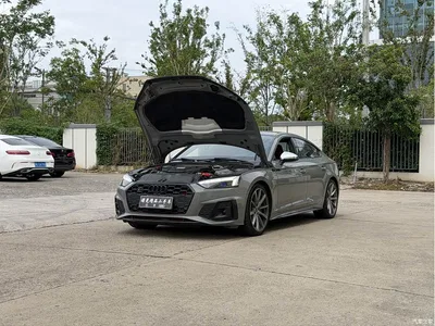 2023 Audi S5 3.0T Sportback, фото 1, лот 10899315