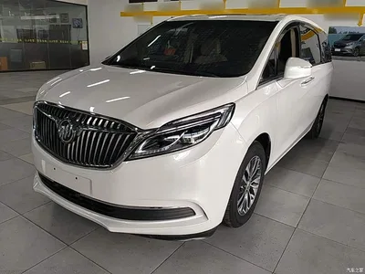2017 Buick GL8 ES 28T Luxury China V, фото 1, лот 10257941