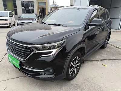 2021 Dongfeng Fengxing T5 1.6L Manual Comfort, фото 1, лот 11144546