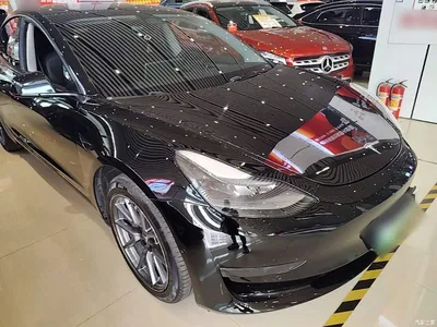 2021 Tesla Model 3 Standard Range Rear-Wheel Drive Upgrade 3D6, фото 4, лот 10476428