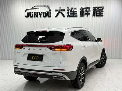 2023 Haval H6 National Trend Edition 1.5T Automatic Urban, фото 4, лот 10282221