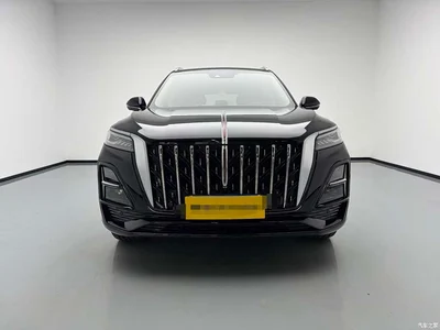 2023 Hongqi HS5 2.0T AWD Flag Enjoy Pro Edition, фото 2, лот 10288151