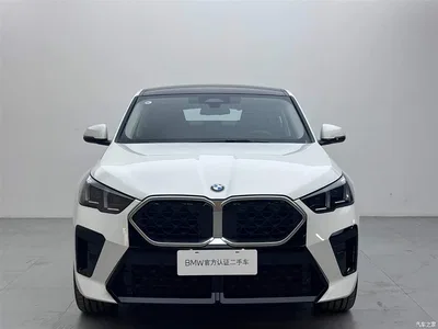 2024 BMW X2 (Import) sDrive25i M Sport Package, фото 2, лот 10410529