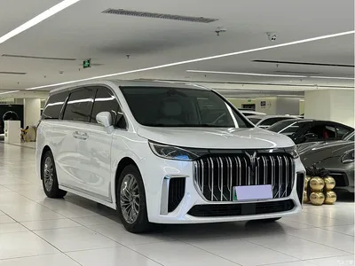 2022 Voyah Auto Voyah Dreamer Low-carbon Dream+Smart Package, фото 3, лот 11018080