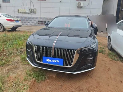 2023 Hongqi H5 2.0T Auto Smart Connect Flag Comfort, фото 2, лот 10288131