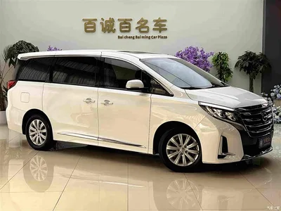 2020 GAC Trumpchi Trumpchi M8 Pilot 390T Premium Edition, фото 4, лот 10414604