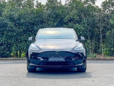 2023 Tesla Model Y Rear-Wheel Drive Edition, фото 2, лот 10594377