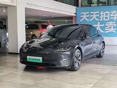 2025 Tesla Model 3 Model Rear-Wheel Drive Edition, фото 1, лот 10356872