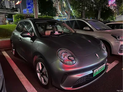 2025 Ora Good Cat Model 430km Luxury, фото 3, лот 11437393