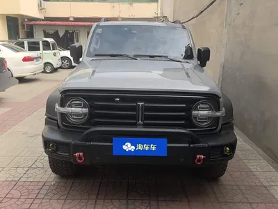 2021 Tank 300 Off-road Version 2.0T Conqueror, фото 2, лот 10900079