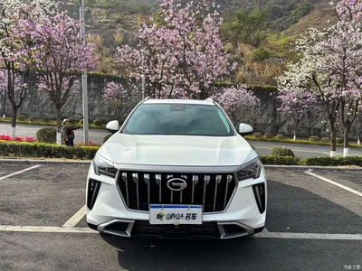 2023 GAC Trumpchi Trumpchi GS4 PLUS 390T Auto Nebula Edition, фото 2, лот 10420683