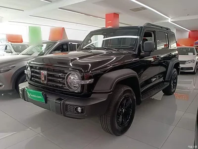 2024 Tank 300 Model 2.0T Challenger, фото 1, лот 11202520
