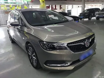 2019 Buick GL6 Model 18T 6-Seater Connected Premium Version China V, фото 4, лот 10269500
