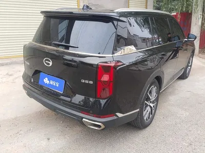 2025 GAC Trumpchi Trumpchi GS8 Pilot Series 2.0TGDI 2WD Luxury Edition 5-seater, фото 3, лот 10902316