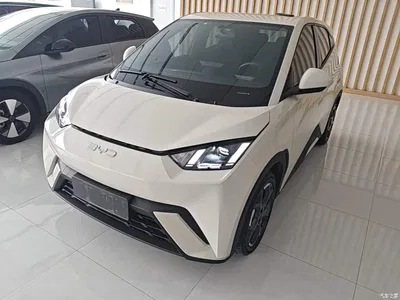 2024 BYD Seagull Glory Edition 305km Freedom Edition, фото 2, лот 11562598