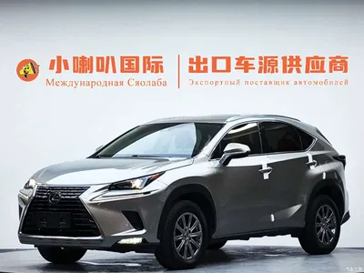2020 Lexus NX 200 AWD F Sport China V, фото 1, лот 10311759