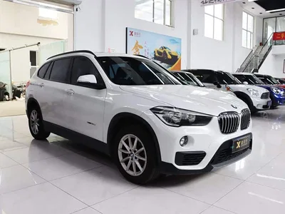 2016 BMW X1 sDrive18Li Fashion Model, фото 3, лот 10464956