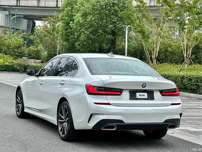 2022 BMW 3 Series 320Li M Sport Package, фото 4, лот 10827963