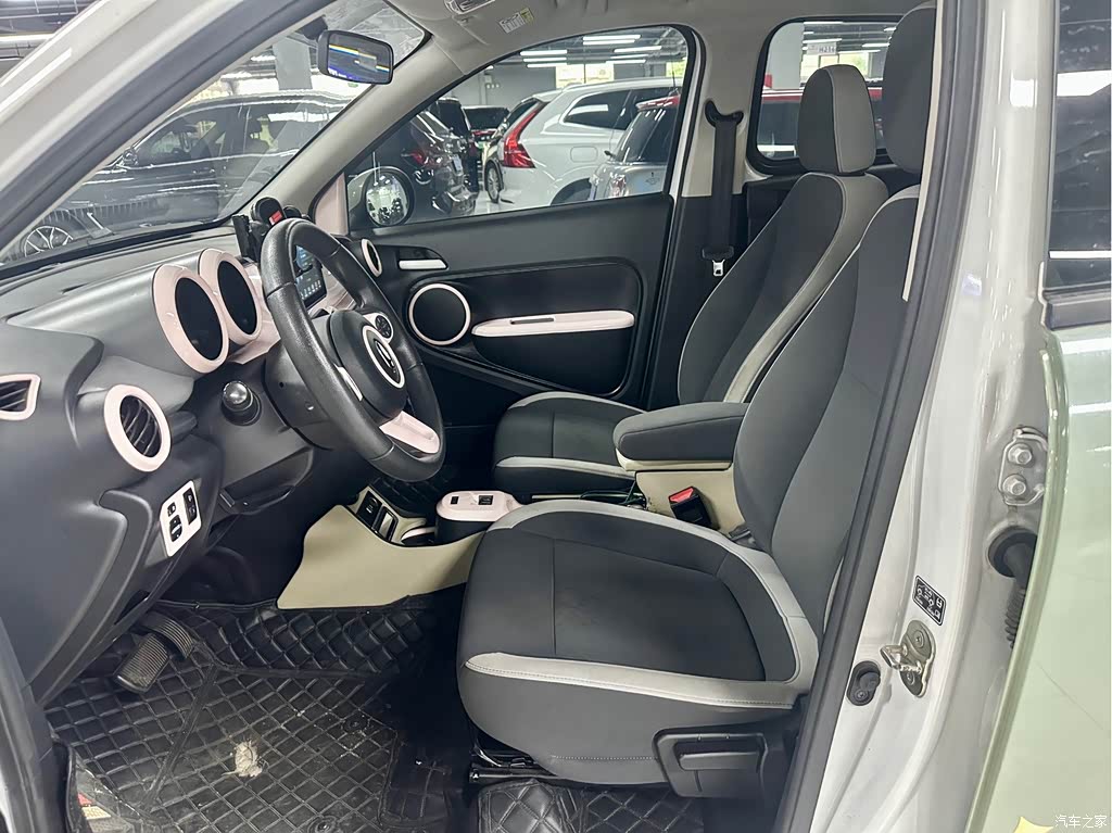 2021 Ora Black Cat 301km Pet Edition, фото 4, лот 11216583
