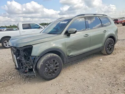 2025 KIA TELLURIDE SX-PRESTIGE X-PRO, фото 1, лот 10781244
