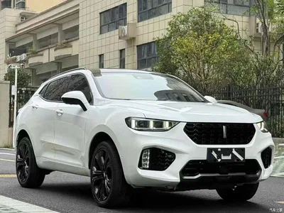 2017 WEY VV5 2.0T Flagship Model, фото 3, лот 11210540